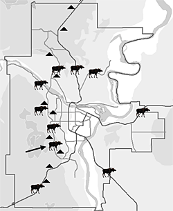 moose_fig2_sm